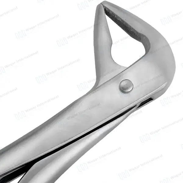 T/C Extracting Forceps #859 for Lower Root & Molars, Delicate - surgical instruments manufactured by Waqar International, Sialkot - view 3