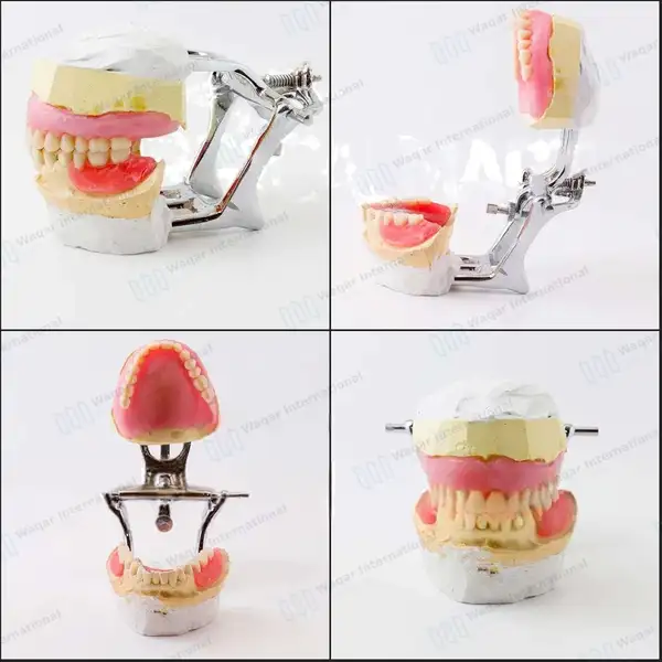 3 Low Arch Dental Articulator Medium Chrome Plated - surgical instruments manufactured by Waqar International, Sialkot - view 6