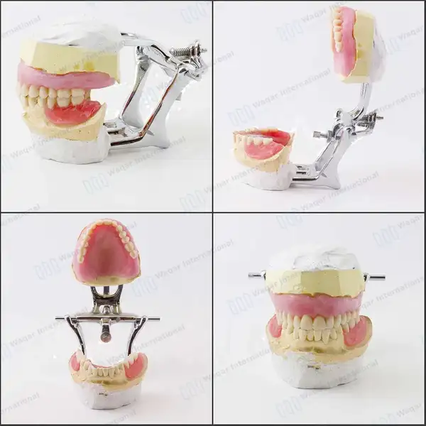 3 Dental Crown Bridge Articulator Small Chrome Plated - surgical instruments manufactured by Waqar International, Sialkot - view 5