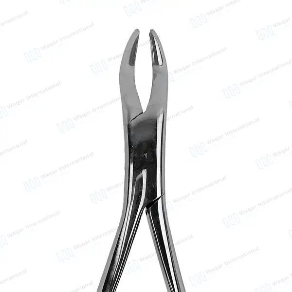 10 American Pattern Extracting Forceps No. 10S - dental instruments manufactured by Waqar International, Sialkot - view 3
