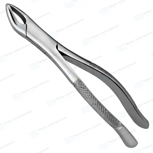 Dental Extracting Forceps #62 Upper and Lower Anterior Teeth - dental instruments manufactured by Waqar International, Sialkot - view 2
