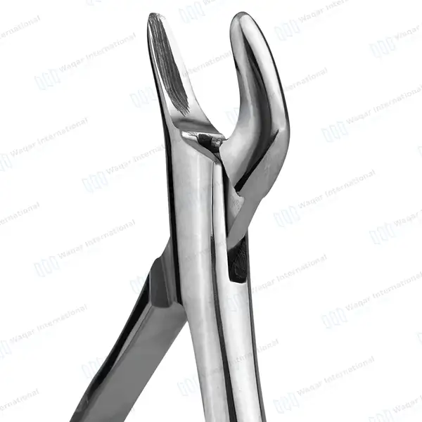 Dental Extracting Forceps #62 Upper and Lower Anterior Teeth - dental instruments manufactured by Waqar International, Sialkot - view 3