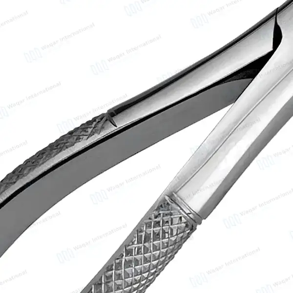 Dental Extracting Forceps #62 Upper and Lower Anterior Teeth - dental instruments manufactured by Waqar International, Sialkot - view 4