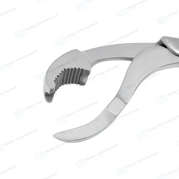 Verbrugge Bone Holding Forceps 6″ One Serrated Jaw – Curved - orthopedic instruments manufactured by Waqar International, Sialkot - view 5