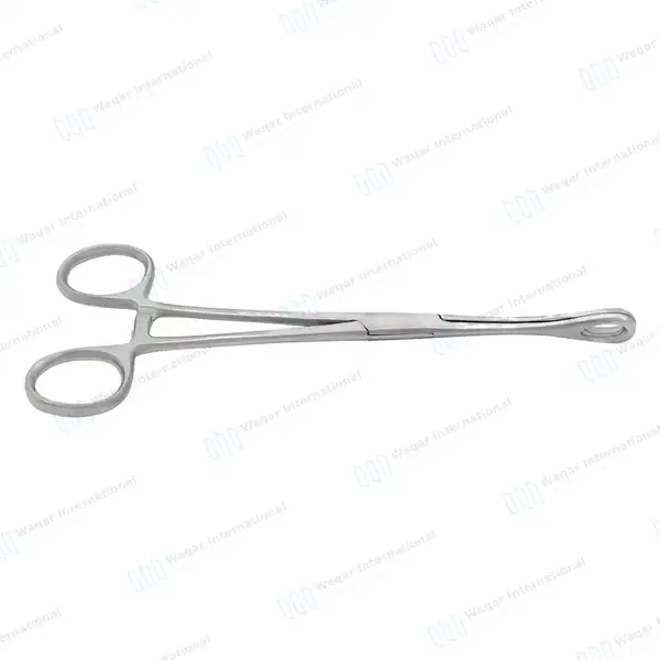 Foerster Dressing Forceps 25cm Straight Smooth Jaws - surgical instruments manufactured by Waqar International, Sialkot - view 4