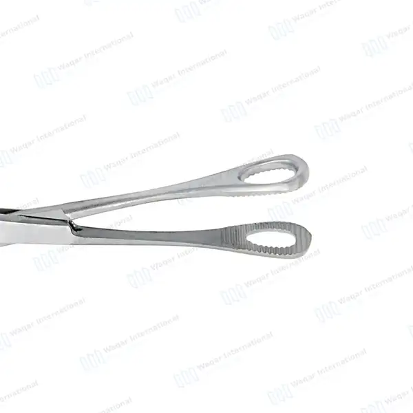 Foerster Dressing Forceps 25cm Straight Serrated Jaws - surgical instruments manufactured by Waqar International, Sialkot - view 2