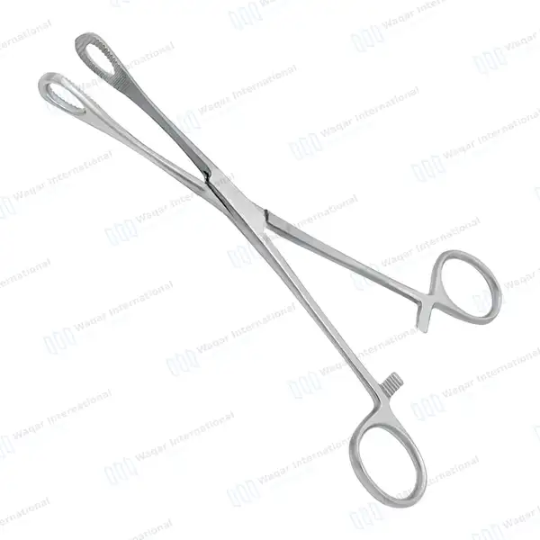 Foerster Dressing Forceps 25cm Straight Serrated Jaws - surgical instruments manufactured by Waqar International, Sialkot - view 4