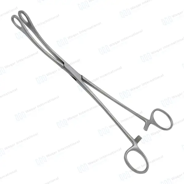 Foerster Dressing Forceps 25cm Curved Serrated Jaws - surgical instruments manufactured by Waqar International, Sialkot - view 2