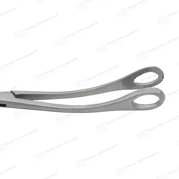 Foerster Dressing Forceps 25cm Curved Serrated Jaws - surgical instruments manufactured by Waqar International, Sialkot - view 3