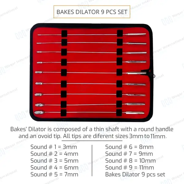 9 Pcs Bakes Rosebud Urethral Sounds Dilators Set 3mm-11mm - surgical instruments manufactured by Waqar International, Sialkot - view 3