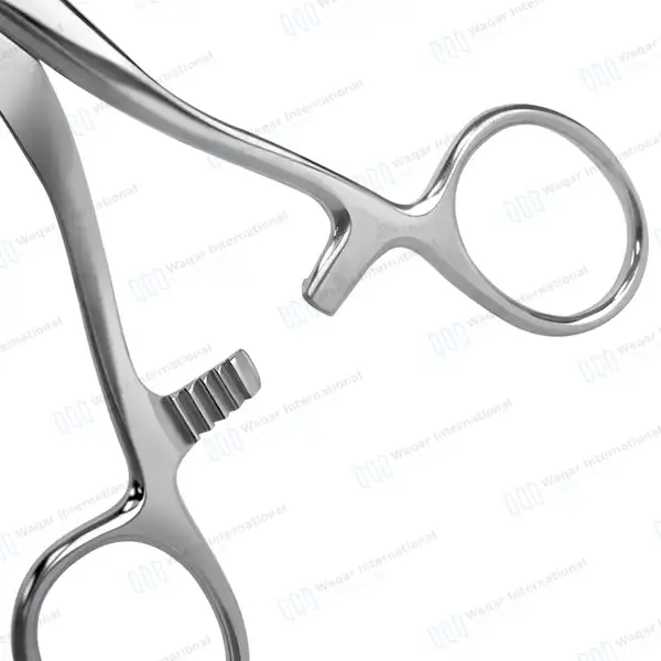 5 Collins Tongue Seizing Forceps 6.75″ (17.1cm) Jaws 25mm Wide - surgical instruments manufactured by Waqar International, Sialkot - view 7