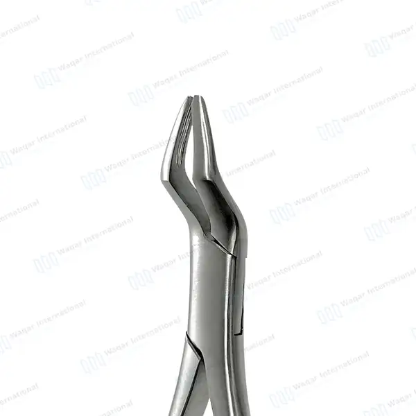 6 Pcs Basic Exodontia Kit - veterinary instruments manufactured by Waqar International, Sialkot - view 2