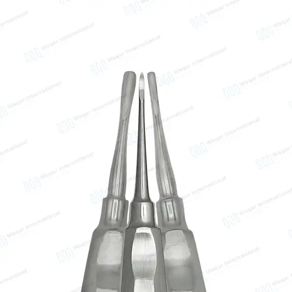 6 Pcs Basic Exodontia Kit - veterinary instruments manufactured by Waqar International, Sialkot - view 3