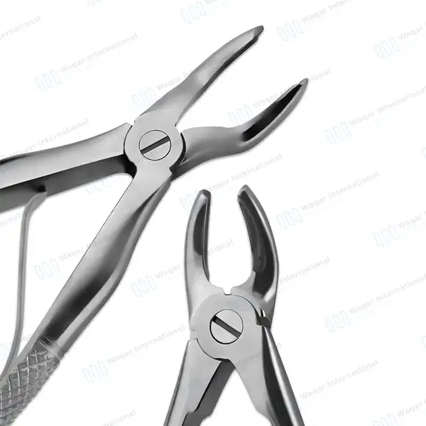 18 Pcs Dog Dental Extraction Kit - veterinary instruments manufactured by Waqar International, Sialkot - view 3