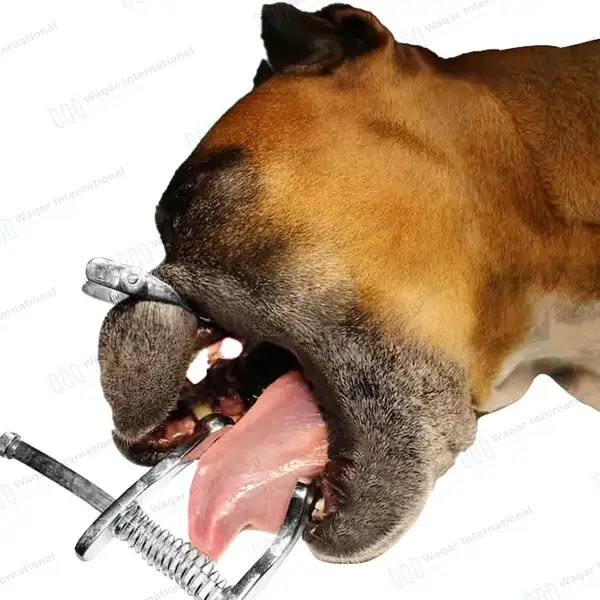 4 Pcs Canine Mouth Gag Set 3.5″, 4.5″, 5.5″ & 6.5″ - veterinary instruments manufactured by Waqar International, Sialkot - view 6