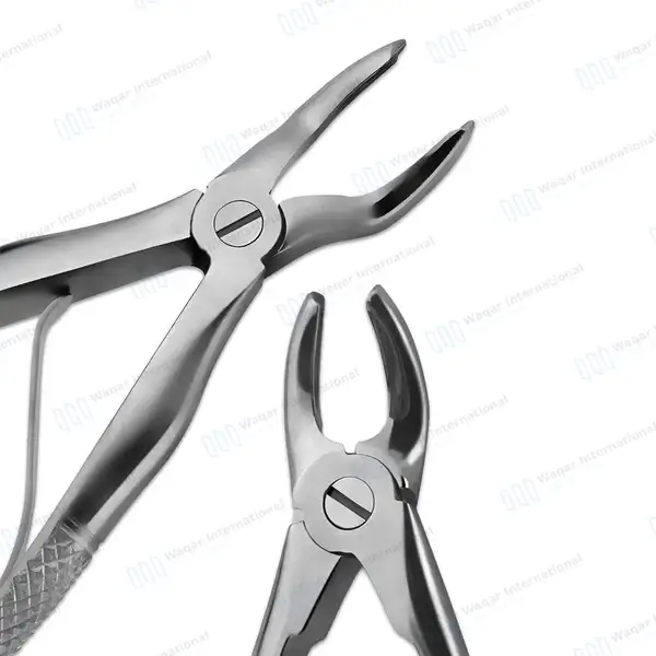 18 Pcs Dog Dental Extraction Forceps Elevator Kit Veterinary Set - veterinary instruments manufactured by Waqar International, Sialkot - view 3