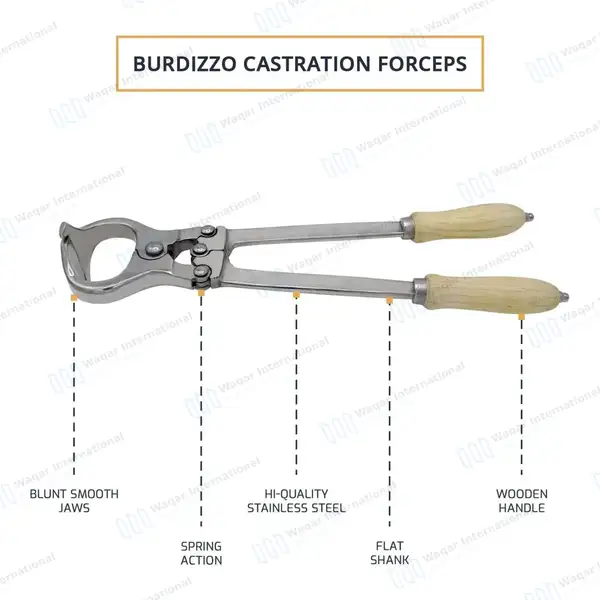 Burdizzo Castration Forceps 16″ - veterinary instruments manufactured by Waqar International, Sialkot - view 4