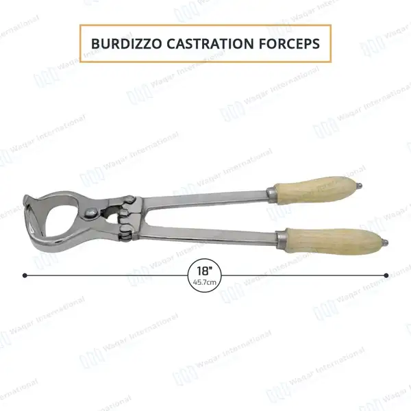 Burdizzo Castration Forceps 18″ - veterinary instruments manufactured by Waqar International, Sialkot - view 2