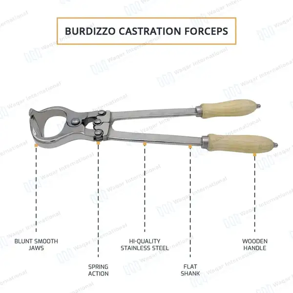 Burdizzo Castration Forceps 18″ - veterinary instruments manufactured by Waqar International, Sialkot - view 3