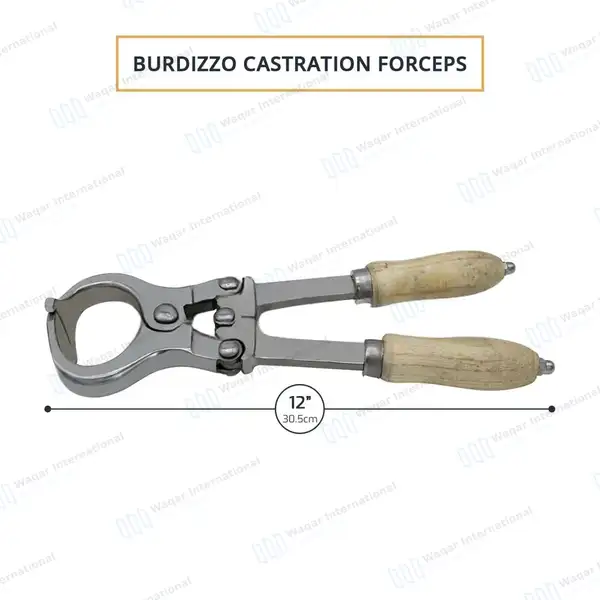 Burdizzo Castration Forceps 12″ - veterinary instruments manufactured by Waqar International, Sialkot - view 2