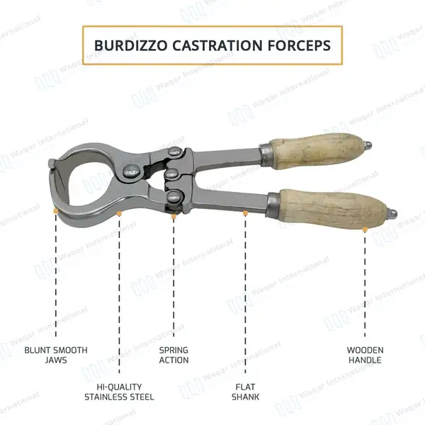 Burdizzo Castration Forceps 12″ - veterinary instruments manufactured by Waqar International, Sialkot - view 3
