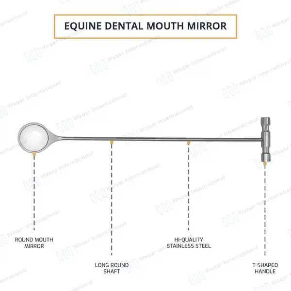 Equine Mouth Mirror 18″ with T-Handle - veterinary instruments manufactured by Waqar International, Sialkot - view 3