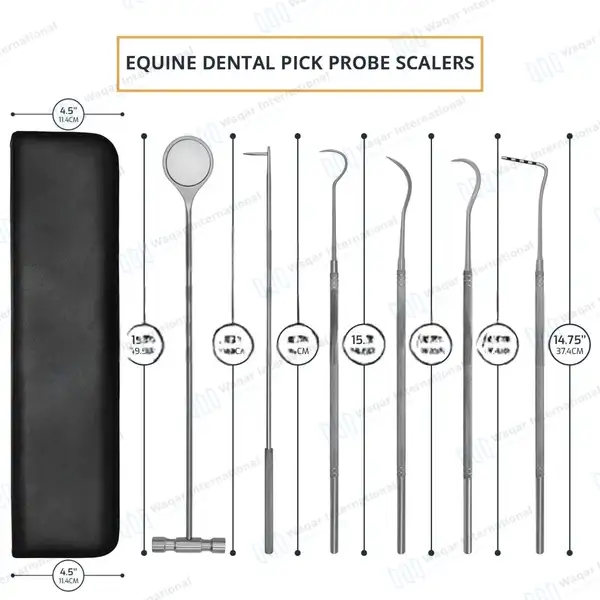 6 Pcs Equine Periodontal Instrument Kit - veterinary instruments manufactured by Waqar International, Sialkot - view 2