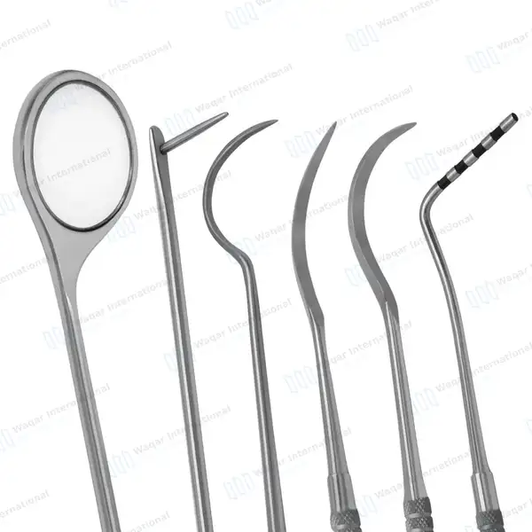 6 Pcs Equine Periodontal Instrument Kit - veterinary instruments manufactured by Waqar International, Sialkot - view 3