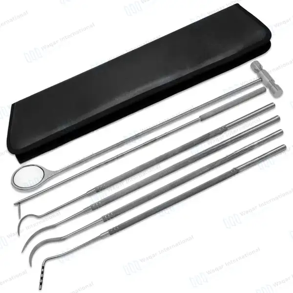 6 Pcs Equine Periodontal Instrument Kit - veterinary instruments manufactured by Waqar International, Sialkot - view 5