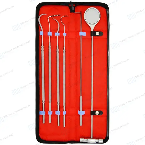 6 Pcs Equine Periodontal Instrument Kit - veterinary instruments manufactured by Waqar International, Sialkot - view 6