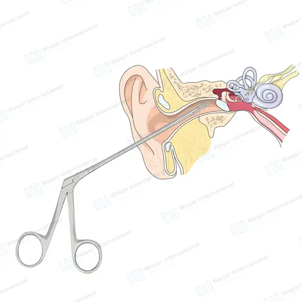 4 Hartmann Crocodile Alligator Ear Forceps 3.5” 5.5” 6.5” 8” Set - surgical instruments manufactured by Waqar International, Sialkot - view 4