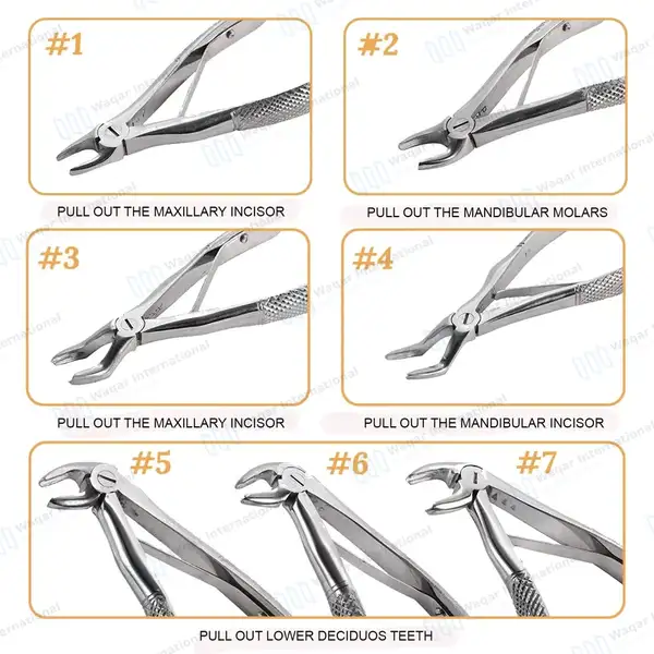 7 Pcs Pedo Extracting Forceps Set with Carrying Case - surgical instruments manufactured by Waqar International, Sialkot - view 4