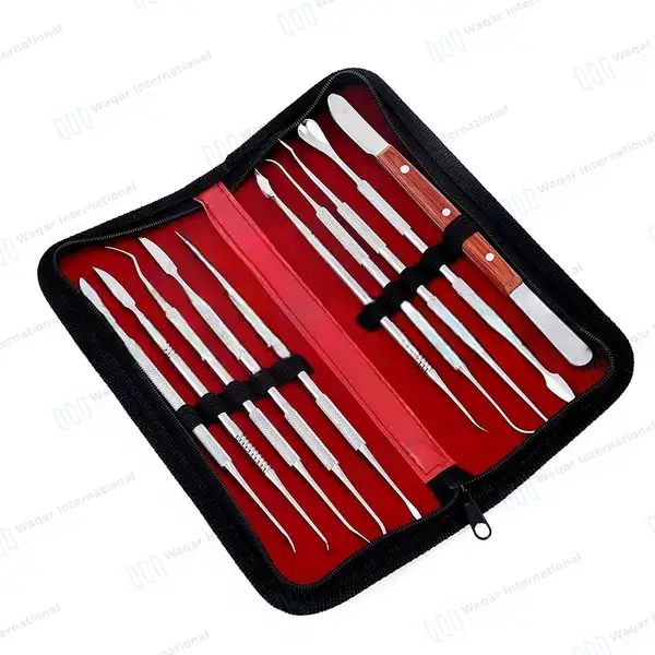 10 Pcs Wax Carving Spatula Modeling Kit - dental instruments manufactured by Waqar International, Sialkot - view 2