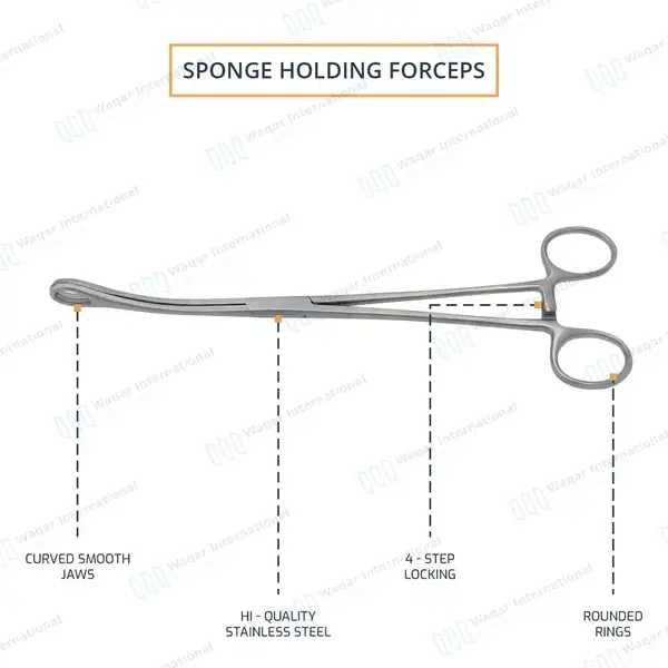 Foerster Sponge Holding Forceps 9.5″ Curved Smooth Jaws - surgical instruments manufactured by Waqar International, Sialkot - view 4
