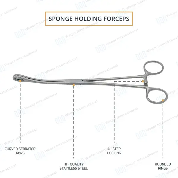 2 Foerster Sponge Holding Forceps 7″ & 9.5″ Curved Serrated - surgical instruments manufactured by Waqar International, Sialkot - view 4