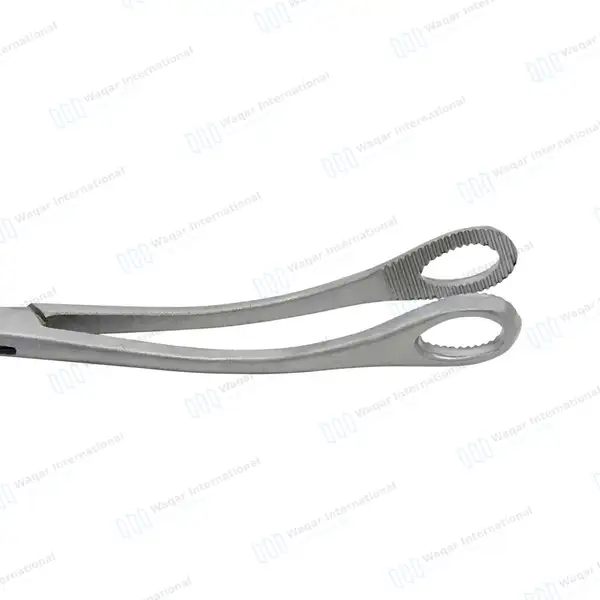 2 Foerster Sponge Holding Forceps 7″ & 9.5″ Curved Serrated - surgical instruments manufactured by Waqar International, Sialkot - view 5