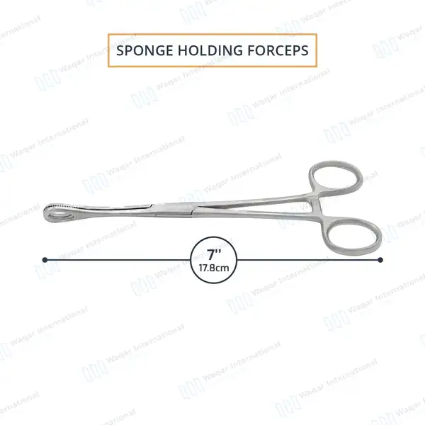 Body Piercing Sponge Forceps 7″ Non Slotted Straight Serrated - body piercing instruments manufactured by Waqar International, Sialkot - view 3