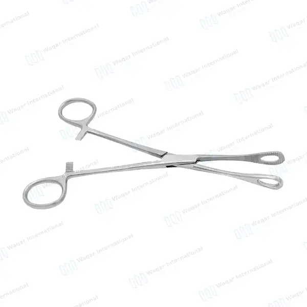 Body Piercing Sponge Forceps 7″ Non Slotted Straight Serrated - body piercing instruments manufactured by Waqar International, Sialkot - view 8