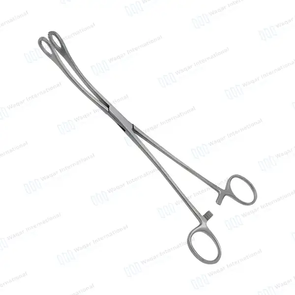 Body Piercing Sponge Forceps 7″ Non Slotted Curved Serrated - body piercing instruments manufactured by Waqar International, Sialkot - view 2