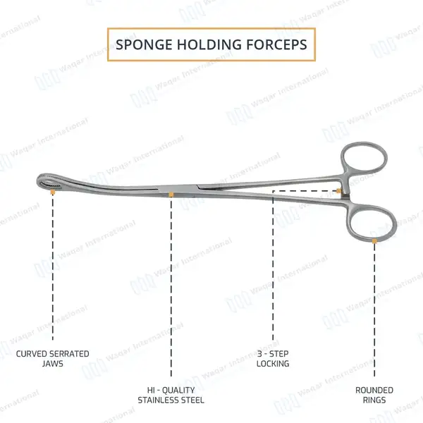 Body Piercing Sponge Forceps 7″ Non Slotted Curved Serrated - body piercing instruments manufactured by Waqar International, Sialkot - view 4