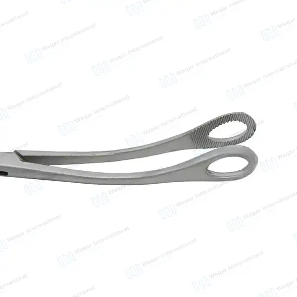 Body Piercing Sponge Forceps 7″ Non Slotted Curved Serrated - body piercing instruments manufactured by Waqar International, Sialkot - view 5