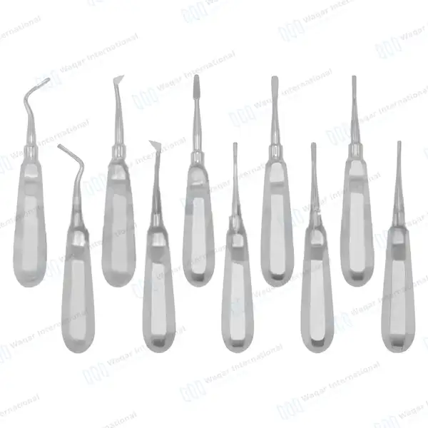 10 Pcs Dental Elevators Set – Periosteal Apical Molt Oral Implant - dental instruments manufactured by Waqar International, Sialkot - view 3