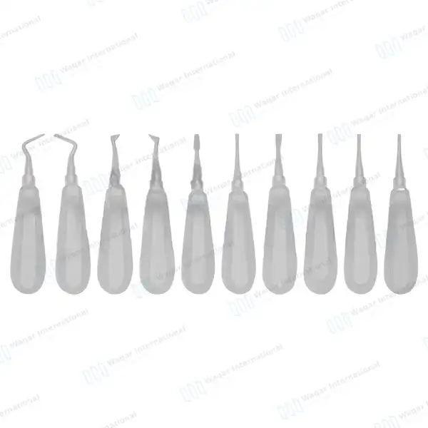 10 Pcs Dental Elevators Set – Periosteal Apical Molt Oral Implant - dental instruments manufactured by Waqar International, Sialkot - view 4