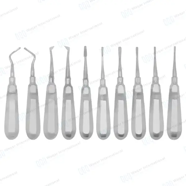 10 Pcs Dental Elevators Set – Periosteal Apical Molt Oral Implant - dental instruments manufactured by Waqar International, Sialkot - view 5