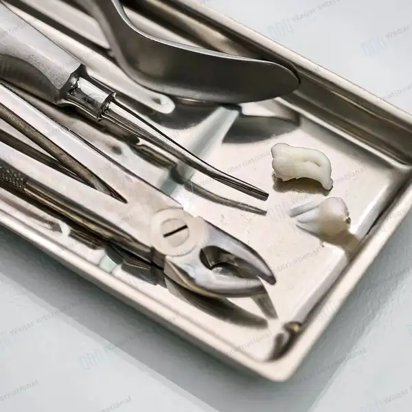 65 Pcs Oral Dental Extraction Surgery Instruments Set - surgical instruments manufactured by Waqar International, Sialkot - view 4