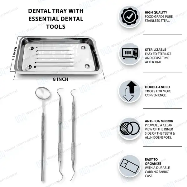 Scaler Tray with 3 Basic Dental Instrument Set - surgical instruments manufactured by Waqar International, Sialkot - view 2