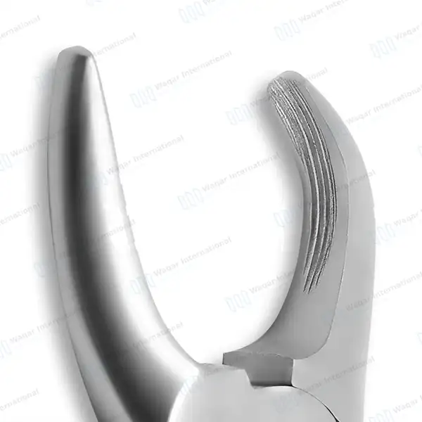 Tartar Removing Forceps 4.5″ Curved Beak - veterinary instruments manufactured by Waqar International, Sialkot - view 4