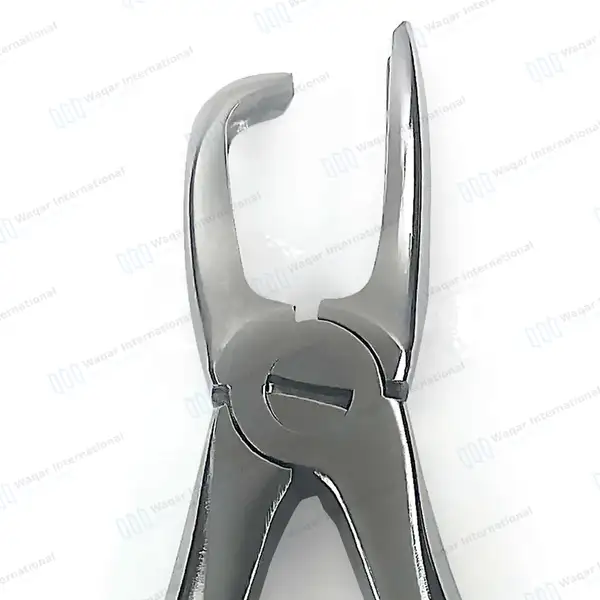 Tartar Removing Forceps 4.5″ Curved Beak - veterinary instruments manufactured by Waqar International, Sialkot - view 5