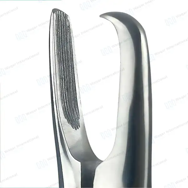 Tartar Removing Forceps 7″ Curved Beak - veterinary instruments manufactured by Waqar International, Sialkot - view 3