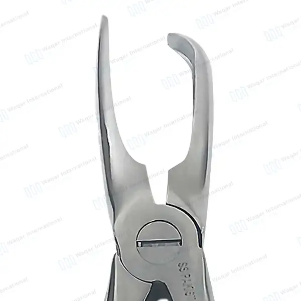 Tartar Removing Forceps 7″ Curved Beak - veterinary instruments manufactured by Waqar International, Sialkot - view 4